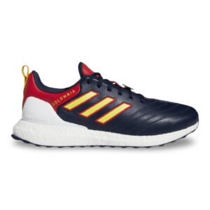 Adidas UltraBoost  World Cup
