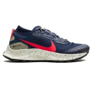 Nike Pegasus Trail 3 GORE-TEX