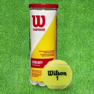 Wilson Pelotas de Tenis Championship Extra Duty