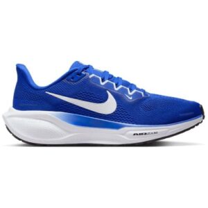 Nike Air Zoom Pegasus 41